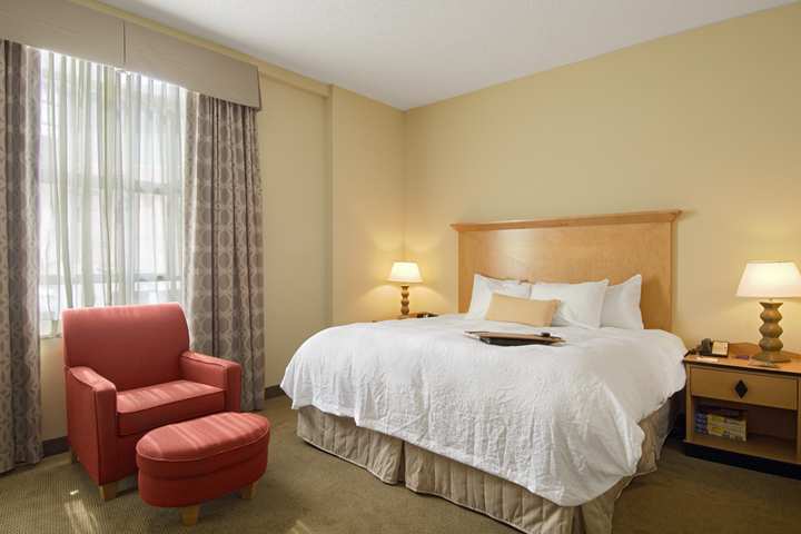 Hampton Inn & Suites Atlanta-Downtown Pokoj fotografie